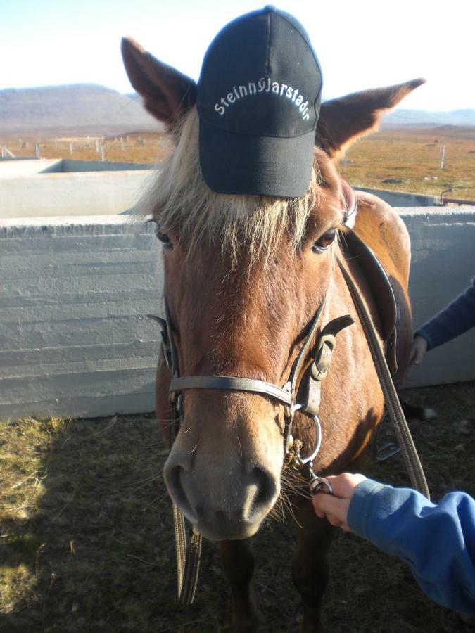 Steinnyjarstathir Skagastrond Eksteriør bilde